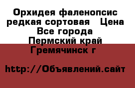 Орхидея фаленопсис редкая сортовая › Цена ­ 800 - Все города  »    . Пермский край,Гремячинск г.